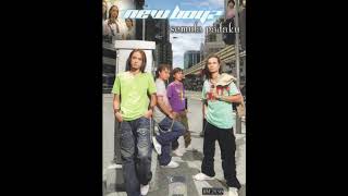 Download lagu New Boyz - Semula Padaku (Full Album) mp3