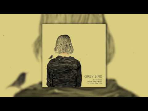 Thumbnail for GREY BIRD | Jason Immanuel & 5uperbug (feat. Jeremy Dawson) by Jeremy Dawson