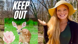 🌱My CHEAP & EASY Way To Keep DEER Out Of The Garden