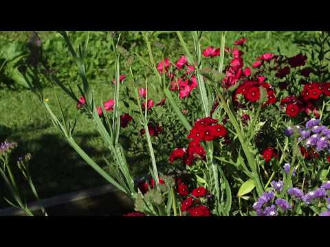 Reč struke ep. 164 22.03.2018. NAJAVA