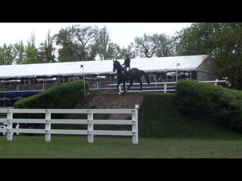 84. Deutsches Spring Derby 2013 - Gilbert Tillman - Tschibo Wall