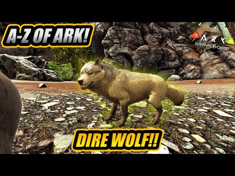 A-Z Of Ark! The DIRE WOLF And Why Its One Of The Best Pack Dinos!! || Ark Survival Evolved!