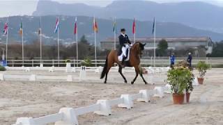 [VIDEO] Patrik Kittel et Well Done de la Roche : leur GPS du CDI 3* de Nice