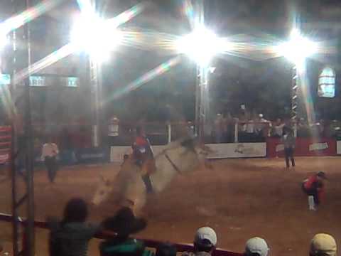 RODEIO COLORADO-PR TOURO 2011