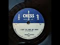 Muddy Waters - I Got To Find My Baby