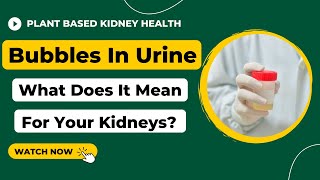 Bubbles In Urine. Does it Mean Kidney Disease & Proteinuria?