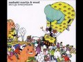 Cat Creeps - Medeski, Martin & Wood