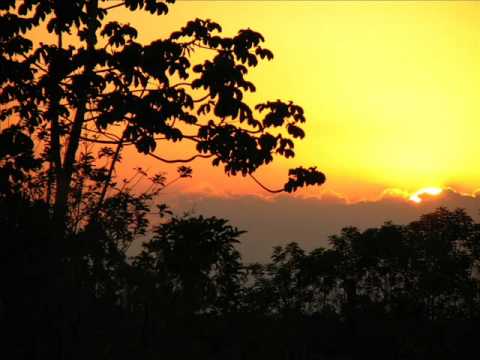 Mindspring - Mirco de Govia