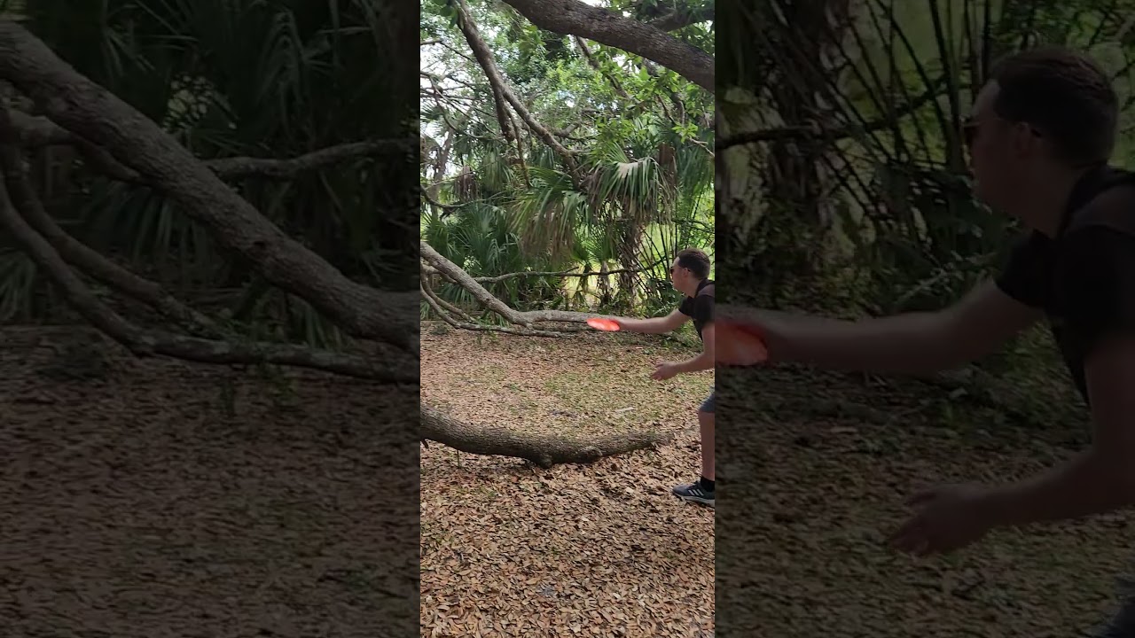 Kemper throwing disk golf