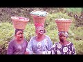 ILU AWON ELEYE APAPO (Joke Muyiwa) - Full Nigerian Latest Yoruba Movie