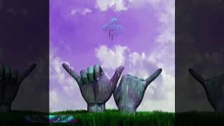 True Thrush - Dan Deacon