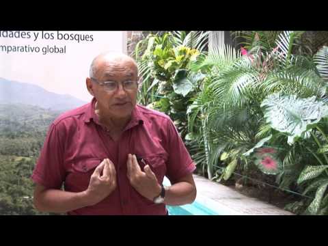 Diálogos de Tenencia, Perú: Aldo Ramírez