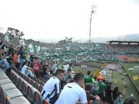 "Te quiero como a mi vieja - Los del Sur (Nacional vs Alianza Petrolera)" Barra: Los del Sur • Club: Atlético Nacional