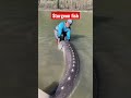Largest sturgeon fish I’ve seen, monster sturgeon #shorts #monster #sturgeon
