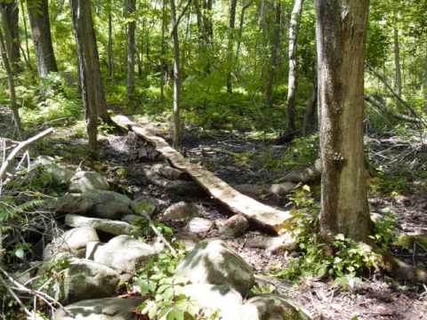 Sholan Farms Project 5 30 09 0001