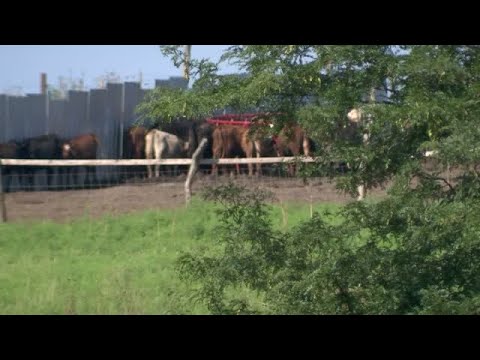 New details on the man charged in the missing brothers case