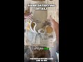 Super Satisfying Ceramic Octopus Part 11
