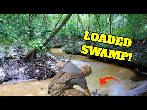 River Treasure Hunter discovers Florida Creek loaded with Valuable History and Antique Bottles!