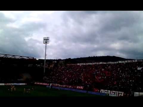 D-I-E-G-O F-A-L-C-I-N-E-L-L-I,il nostro Leone...