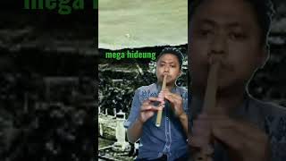 Download lagu melodi suling mega hideung kang yayan jatnika mp3