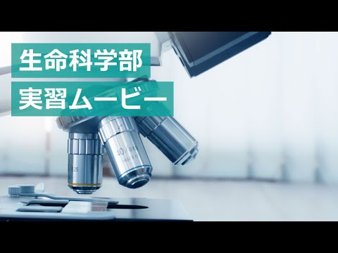 生命医科学科 東京薬科大学　生命科学部　実習風景ショートバージョン