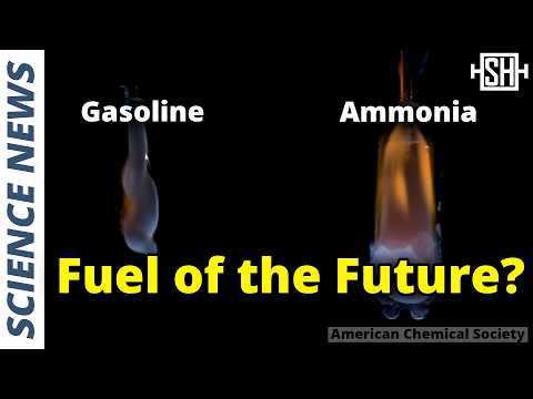 The Next Clean Fuel Hype: Ammonia