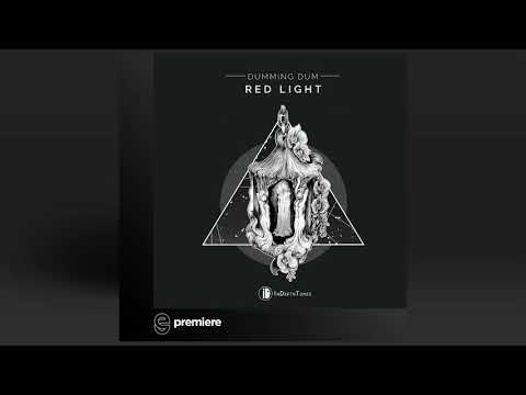 Premiere: Dumming Dum - Natural Vision (Original Mix) - In Depth Tunes