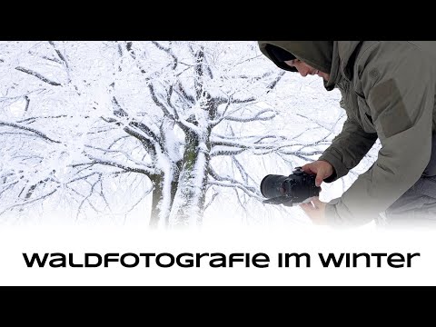 Waldfotografie im Winter - Naturfotografie Tutorial