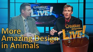 More Amazing Design in Animals (Creation Magazine LIVE! 5-22)