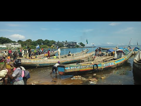 Inside the Fish Market