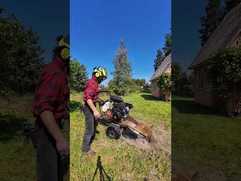 Удаление пней