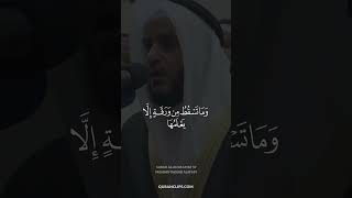 Download lagu Surah Al An'am Ayat 59 Mishary Rashid Alafasy mp3