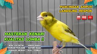 Download lagu Kenari GACOR NGEREK‼️ Masteran Kenari PAUD dan Pancingan Kenari MACET BUNYI dan Betina NGIWIR - 312 mp3 Download lagu Kenari GACOR NGEREK‼️ Masteran Kenari PAUD dan Pancingan Kenari MACET BUNYI dan Betina NGIWIR - 312 mp3