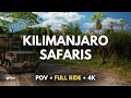 Disney S Safari Ride Kilimanjaro Safaris Disney S Animal Kingdom Theme Park