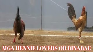 Download lagu Mga hennie lovers or binabae mp3