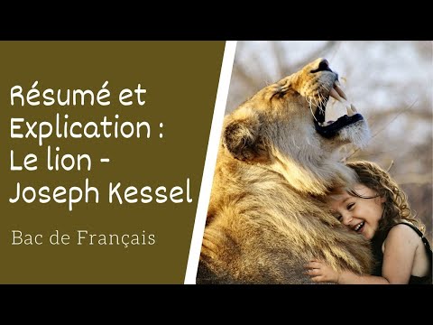 Le Lion de Joseph Kessel Résumé et explication