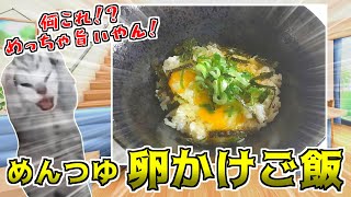 【TKG】麺つゆで卵かけご飯作るとメチャクチャおいしいらしい【猫ミーム】