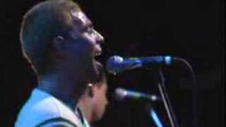 Pepper - Sitting on the Curb