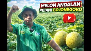 Download lagu SUKSES KARENA TANAM MELON INI DI BOJONEGORO! | Forsa BISI mp3