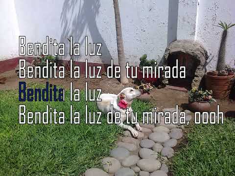 BENDITA TU LUZ - Maná - VERSIÓN KARAOKE