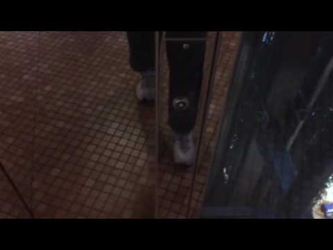 Syracuse, NY: Other Awesome 2012 Schindler HT VR 400A MRL Traction Scenic Elevators at Destiny USA