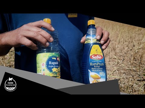 Rapsernte 2025  | Raps | Farmfluencer