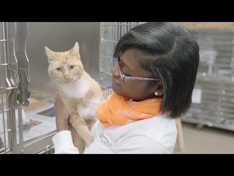 MLK Day of Service 2018