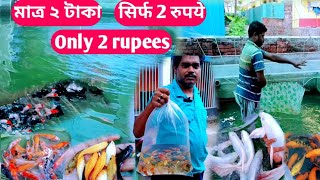 I have found Ornamental fish very low price🤗India