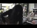 Mike Campese "Majestic Rays"  First Night Saratoga 2011 New Years Eve