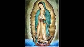 preview picture of video 'Virgen de guadalupe Juancito'