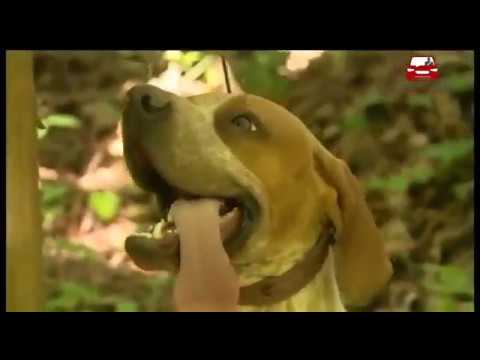 Un sindaco a bordo - Giuseppe Crestini®