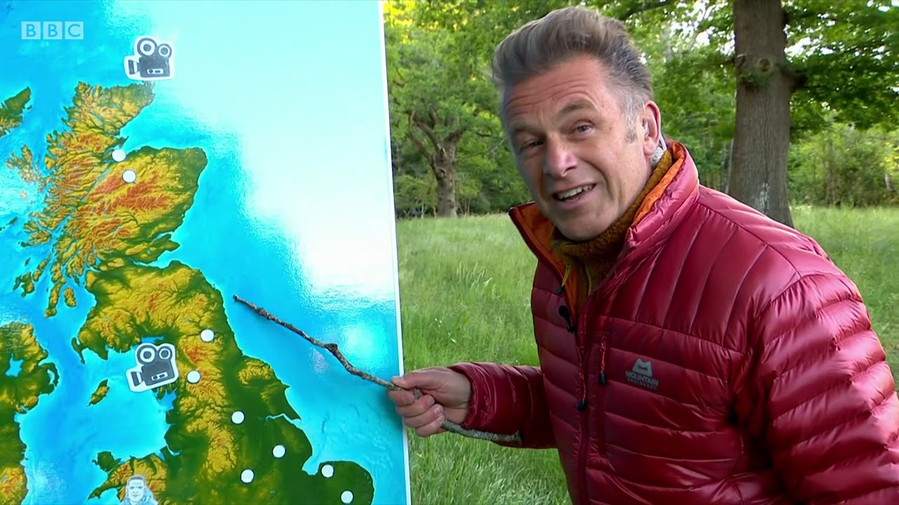 Springwatch 2020  Episode 8
