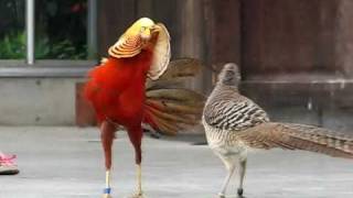 [問卦] 這樣算不算性騷擾