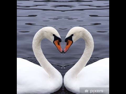 Made of you 💕 (Cas Stonehouse, A Cappella cover)